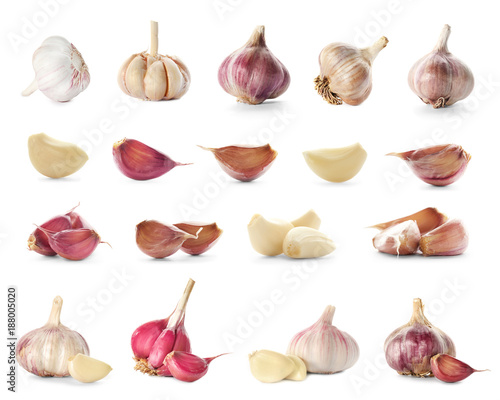 Collection of garlic on white background photo