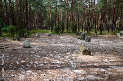 Obraz na płótnie Tumuli in Wesiory (the ancient graveyard of Goths and Gepids) w salonie