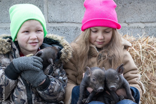 Adorable little childs in colorful clothers playing with just born piglets in winter fermers yard. Creative leisure with kids on swine farm photo