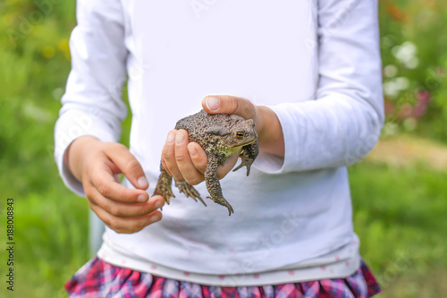 Child touching brown toad
