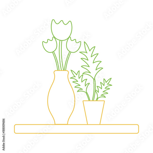 color line wood shelf with flowers inside jar and plants