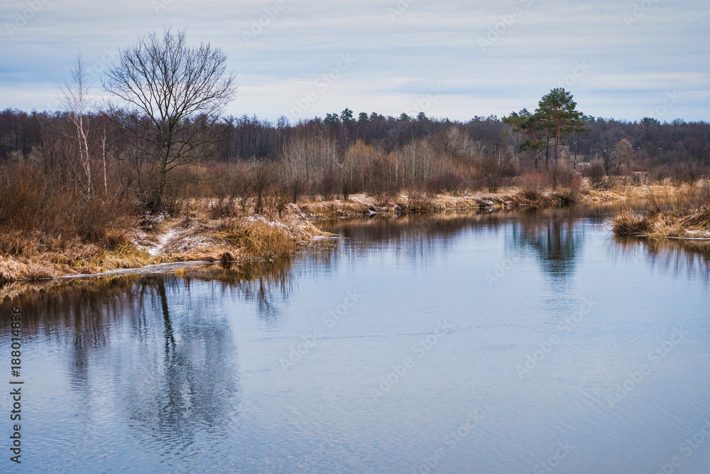 Fototapeta premium non-freezing river on winter forest backgrounds