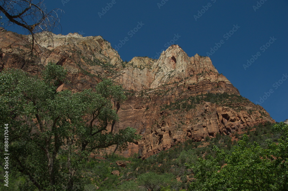 Zion National Park Zion National Park