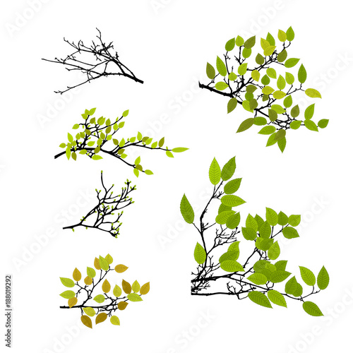 Realistic set of tree branches silhouette with leaves (Vector illustration)ai10