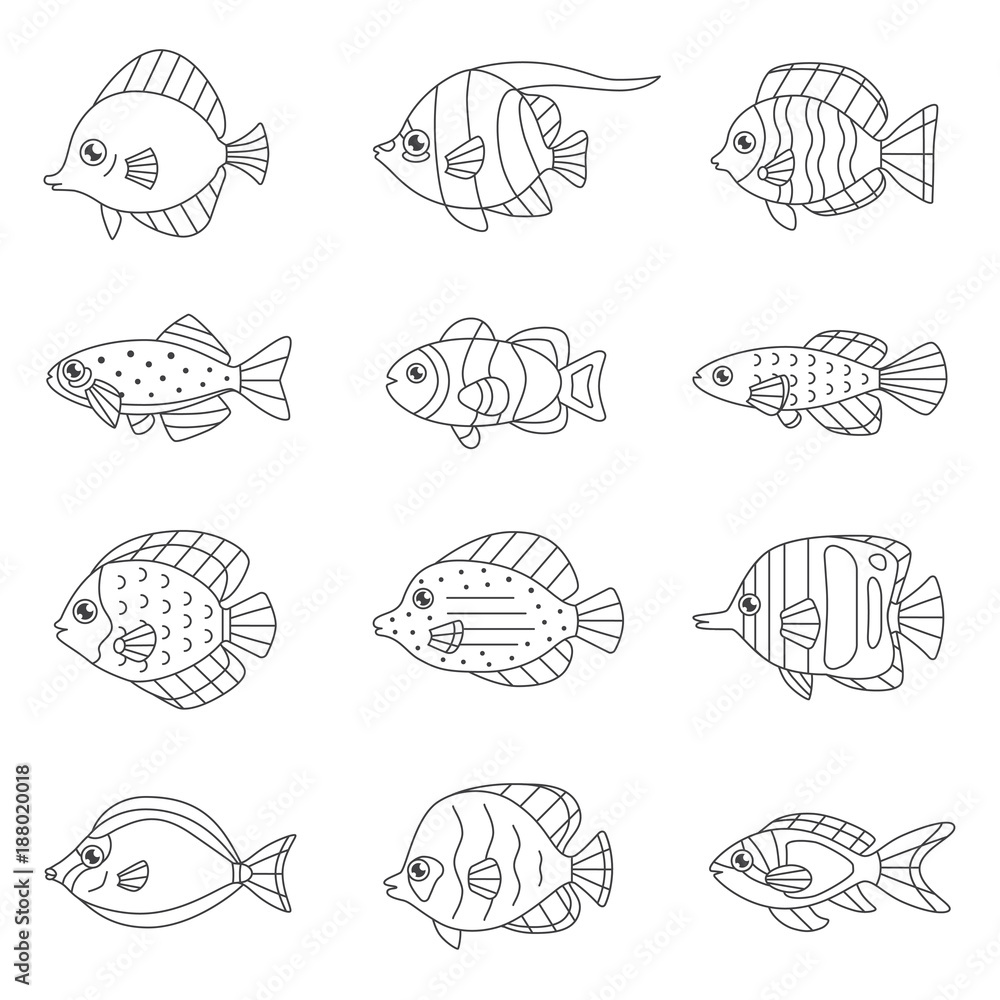 Fish outline vector icon set (tropical, marine, oceanic).