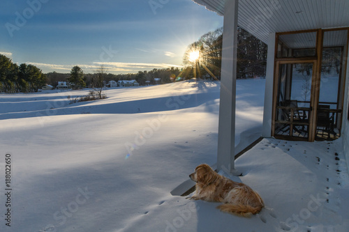 Watching Over The Field