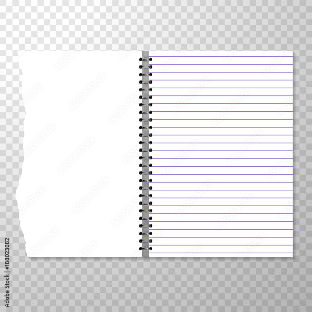 torn notebook page background