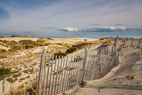 Windswept Cape Henlopen Dunes in Sussex County, Lewes, Delaware