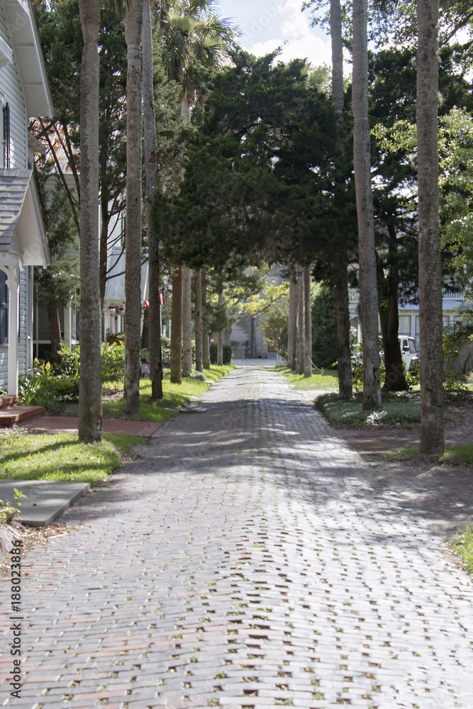 Naklejka premium Paved Path