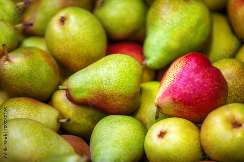 Green and red pears background