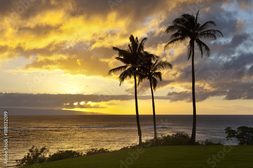 Palm Tree Sunset At Napili Point, Maui
