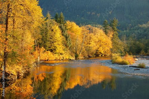 Fototapeta Naklejka Na Ścianę i Meble -  Fall Foliage Reflections in Stillaguamish River of Washington State