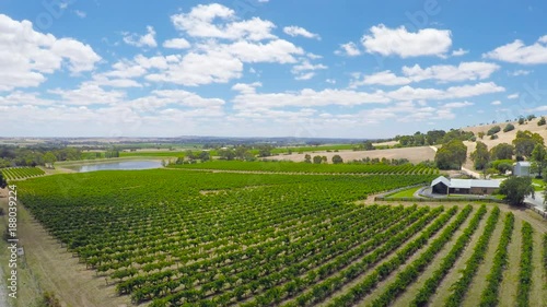 Drone aerial of the Barossa Valley, major wine growing region of South Australia, views of rows of grapevines and scenic landscape, taken from Lily Farm Road.