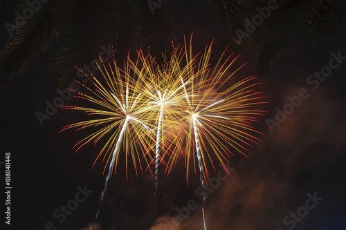fireworks celebration in night background