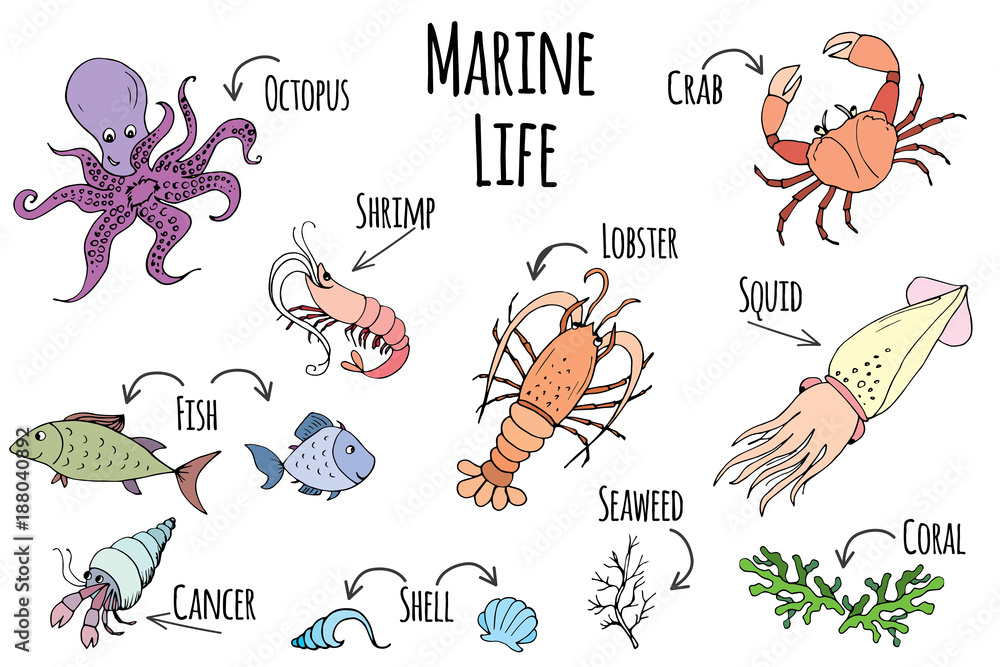Marine life set,isolated on white background Marine life set,isolated on white background