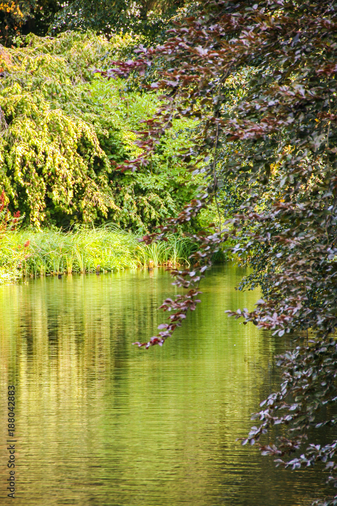 Obraz premium Sanssouci park