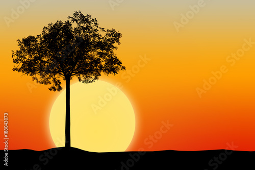 Silhouette of tree with sunset background © Laymanzoom