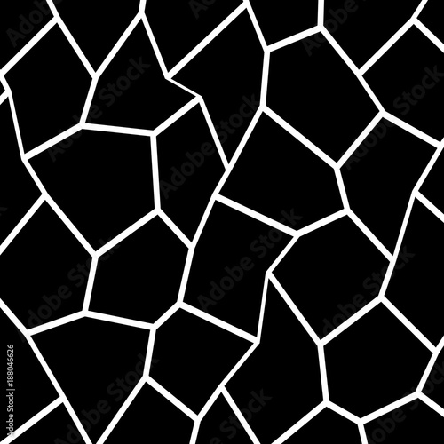 Black and White Irregular Mosaic Template