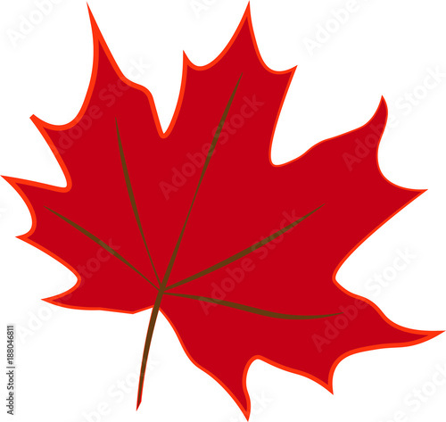 Red maple Leaf
