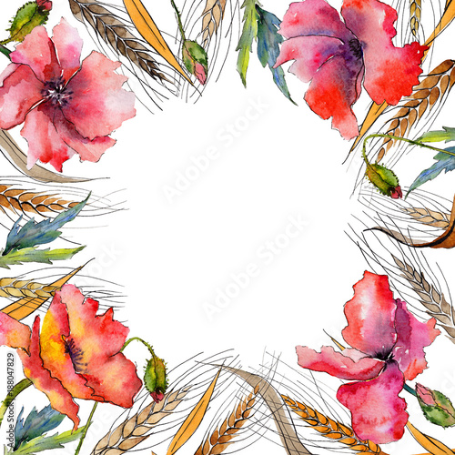 Obraz na płótnie Wildflower spica flower frame in a watercolor style
