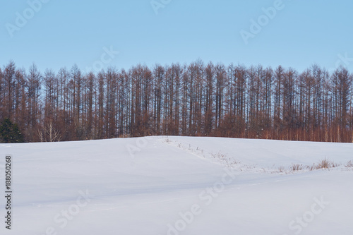 Wallpaper Mural 美瑛マイルドセブンの丘からの風景
 Torontodigital.ca