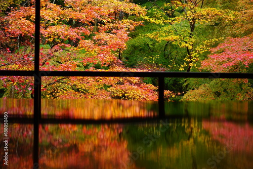 京都瑠璃光院の紅葉と床もみじ photo