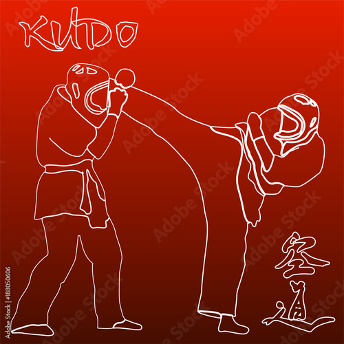 Kudo martial arts fighters illustration