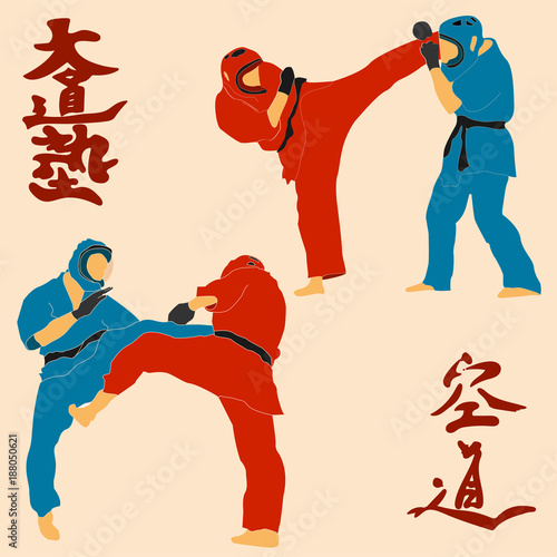 Kudo martial arts fighters illustration