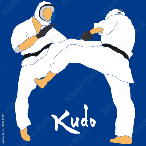 Kudo martial arts fighters illustration