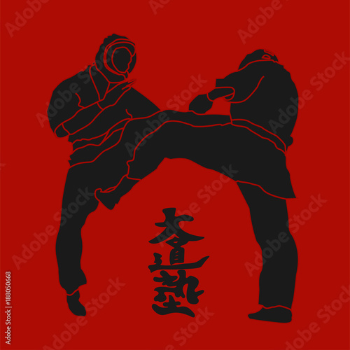 Kudo martial arts fighters illustration