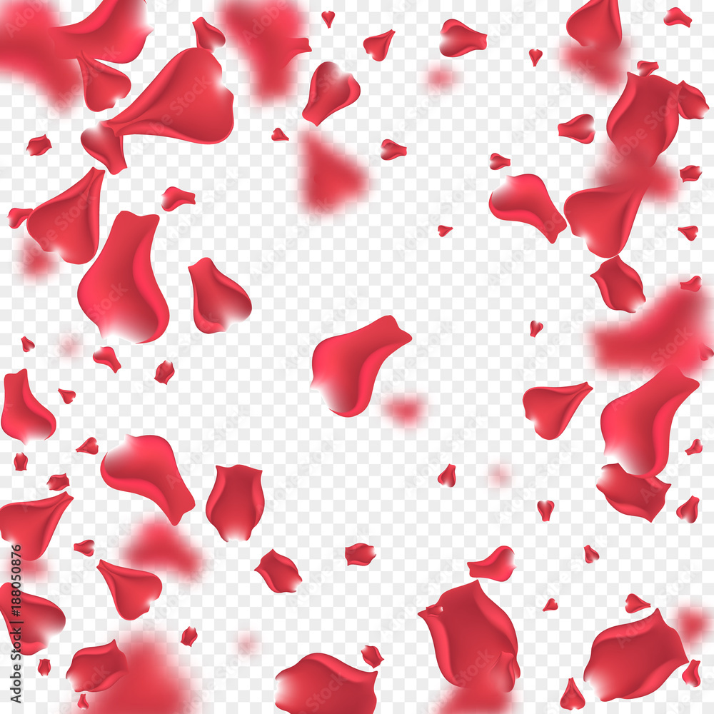 Flying Flying pink rose petals with blur effect. Transparent background. Vector illustration.rose petals background. Flying Flying pink rose petals with blur effect. Transparent background. Vector illustration.rose petals background.
