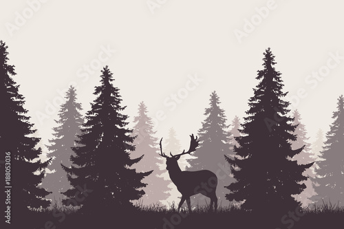 forest with silhouette of a fallow deer