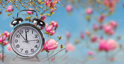 spring time clock flowers nature space for your text , background