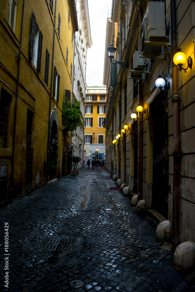 Fototapeta premium an alley in the historical centre of Rome