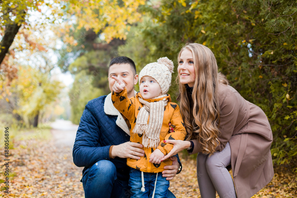 family walk in the forest in autumn birds family walk in the forest in autumn birds