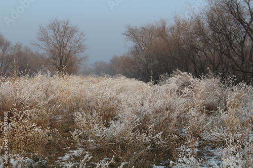 Wallpaper Mural cold weather in country Torontodigital.ca