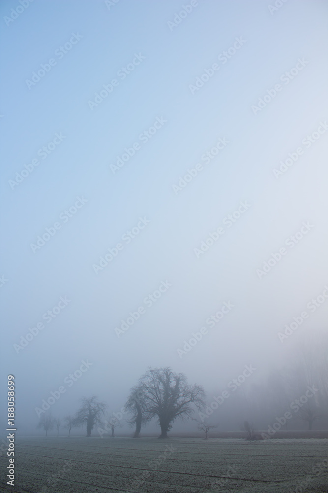 Brume d'hiver Brume d'hiver