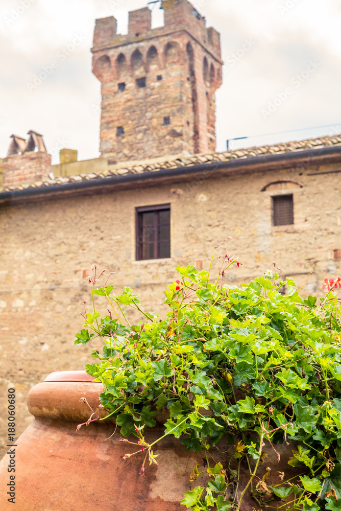 Traditional geranium flowers in a meieval village in Tuscany - 2