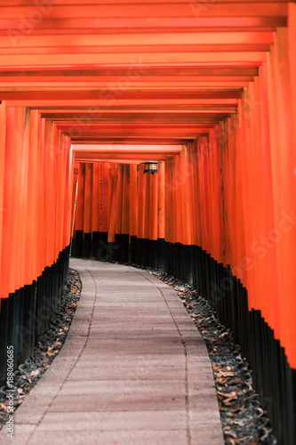 A pathway of thousands of torii gate 