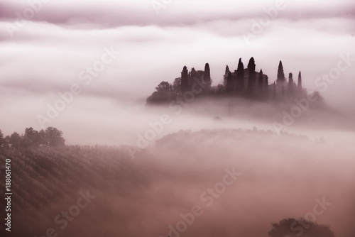 Beautiful foggy sunrise in Tuscany, Italy with vineyard and trees. Natural misty background © Roxana