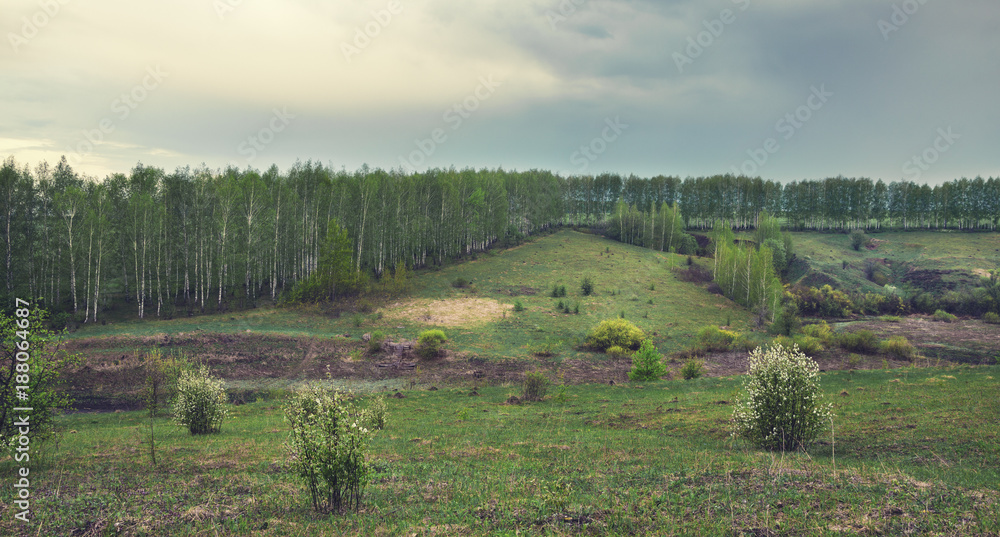 Springtime.Cloudy landscape with birches growing on the hillsides.Spring morning.Countryside scene.