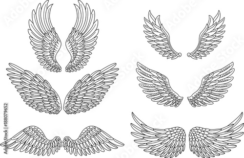 Obraz na plátně Heraldic wings set for tattoo or mascot design
