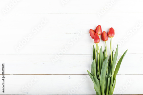 Bouquet of red fresh tulips on a white wooden background, horizontal photo. space for text