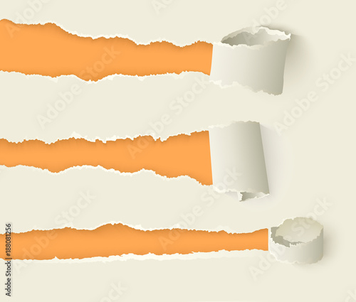 Vector set of torn rolled paper set. Notebook sheets with ripped edges with holes opening orange background. Realistic illustration for your design.