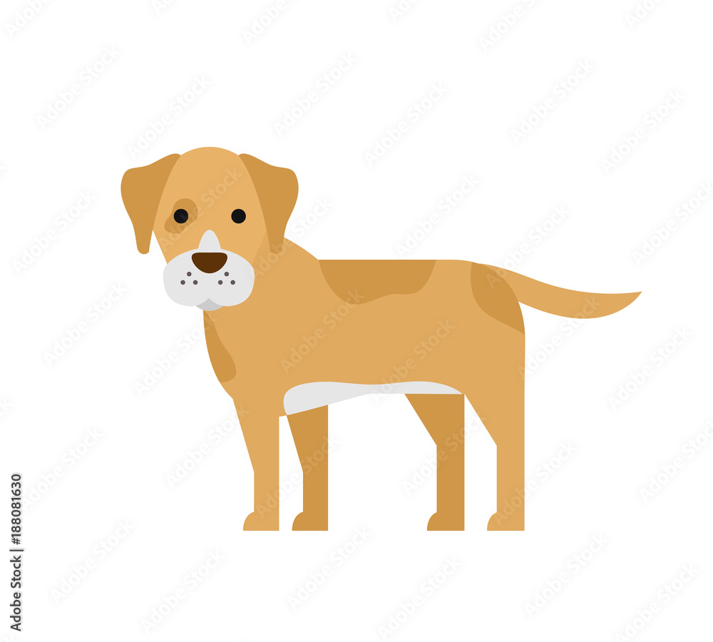 cute cartoon dog flat style on white background cute cartoon dog flat style on white background