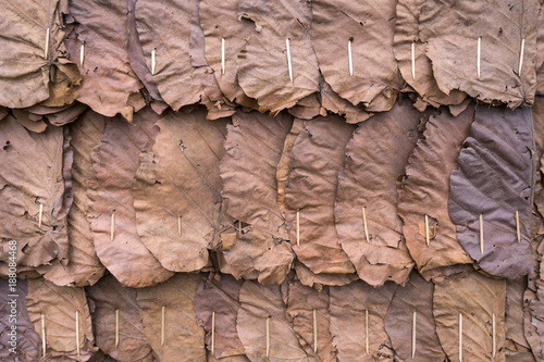 Wall made from dry leaves in the countryside of Thailand