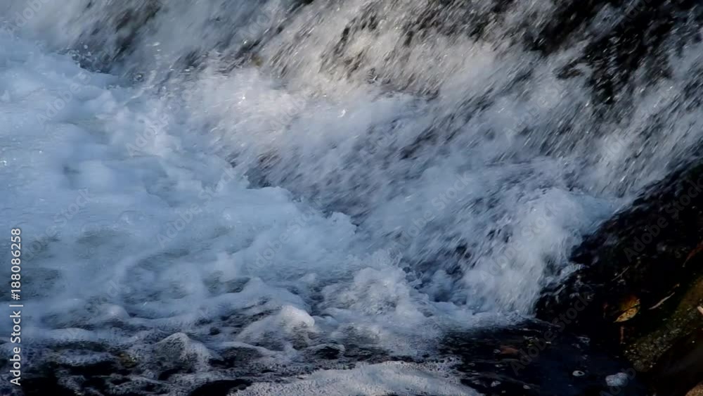 Fish jumping up in waterfall and going upstream for spawning
Fish jumping up in waterfall and going upstream for spawning