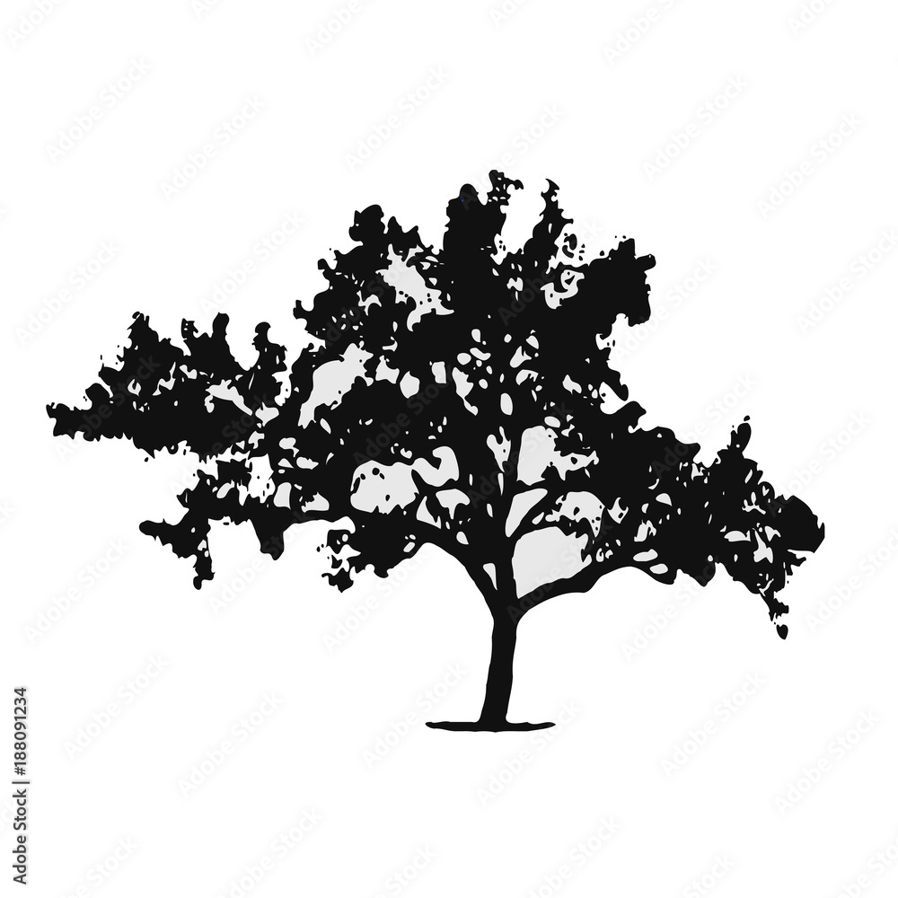 Silhouette of tree on white background. Vector illustration