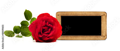 Rose mit Holzschild