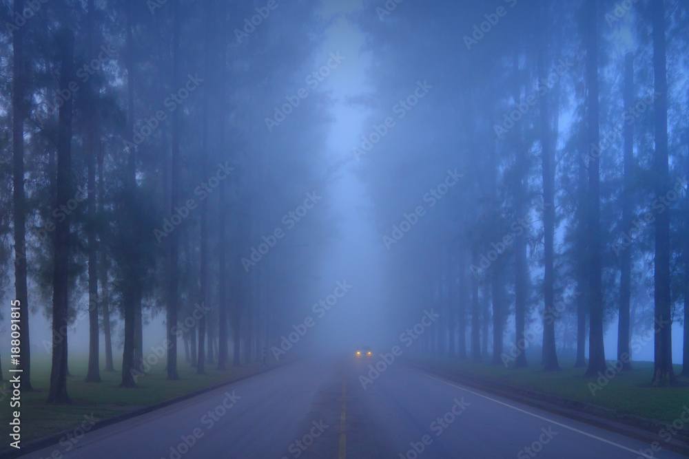 Road in a foggy morning.